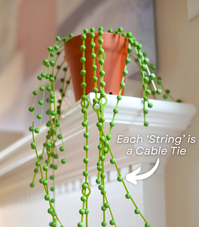 erwtenplant kabel organiser — foto 2