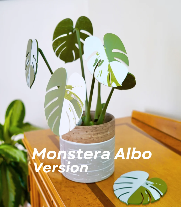 Monstera onderlegger plant | Inclusief 3D geprinte pot — foto 2