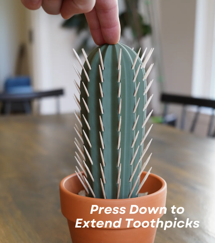 Cactus satéprikker houder — foto 2