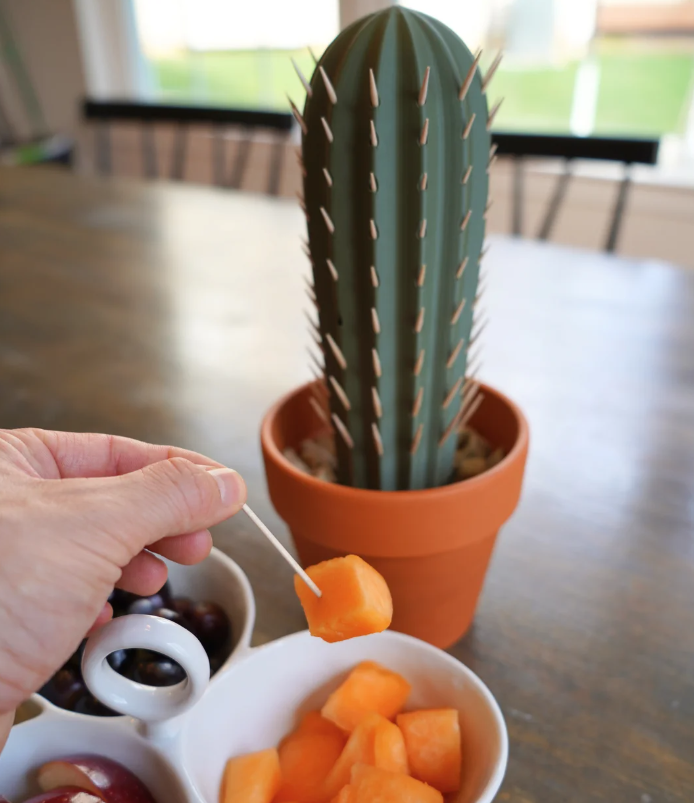 Cactus satéprikker houder — foto 3