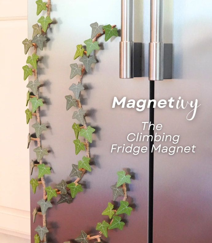 Magnetivy | De klimmende magneet