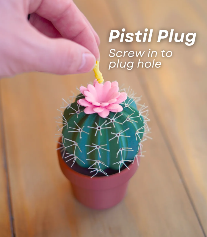 Cactus peper- en zoutstrooier — foto 5
