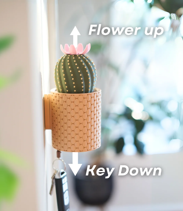 CactiKeys sleutelhouder — foto 2