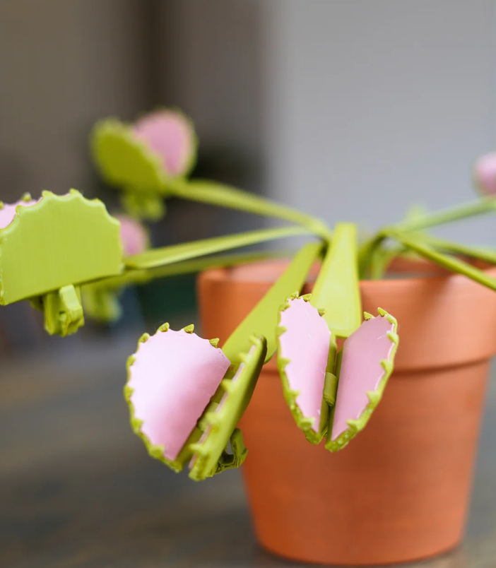 Venus SnackTrap sluitclips — foto 2