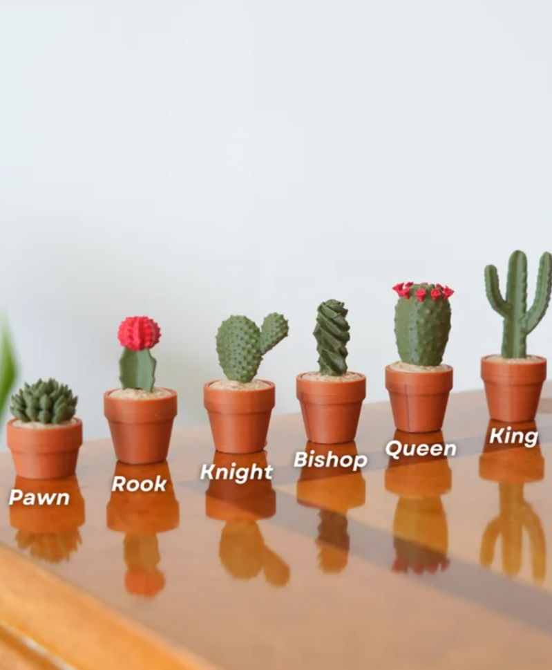 Cacti Chess — foto 4