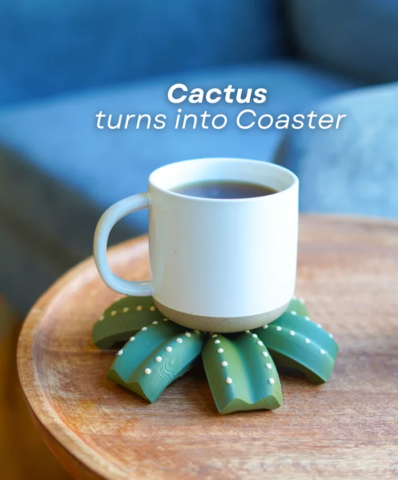 Smactus Cactus coaster — foto 2