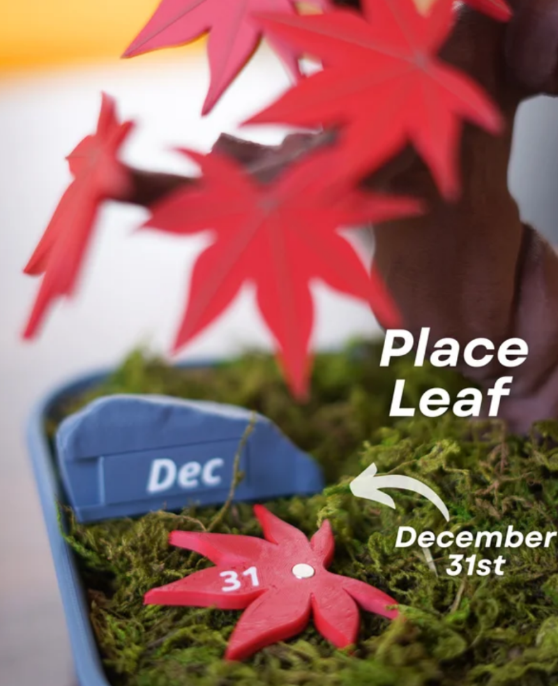 Bonsai Calendar — foto 4