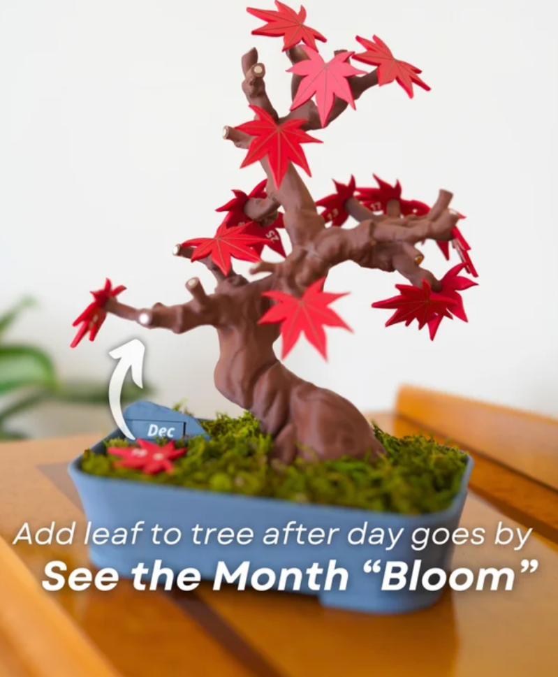 Bonsai Calendar — foto 3