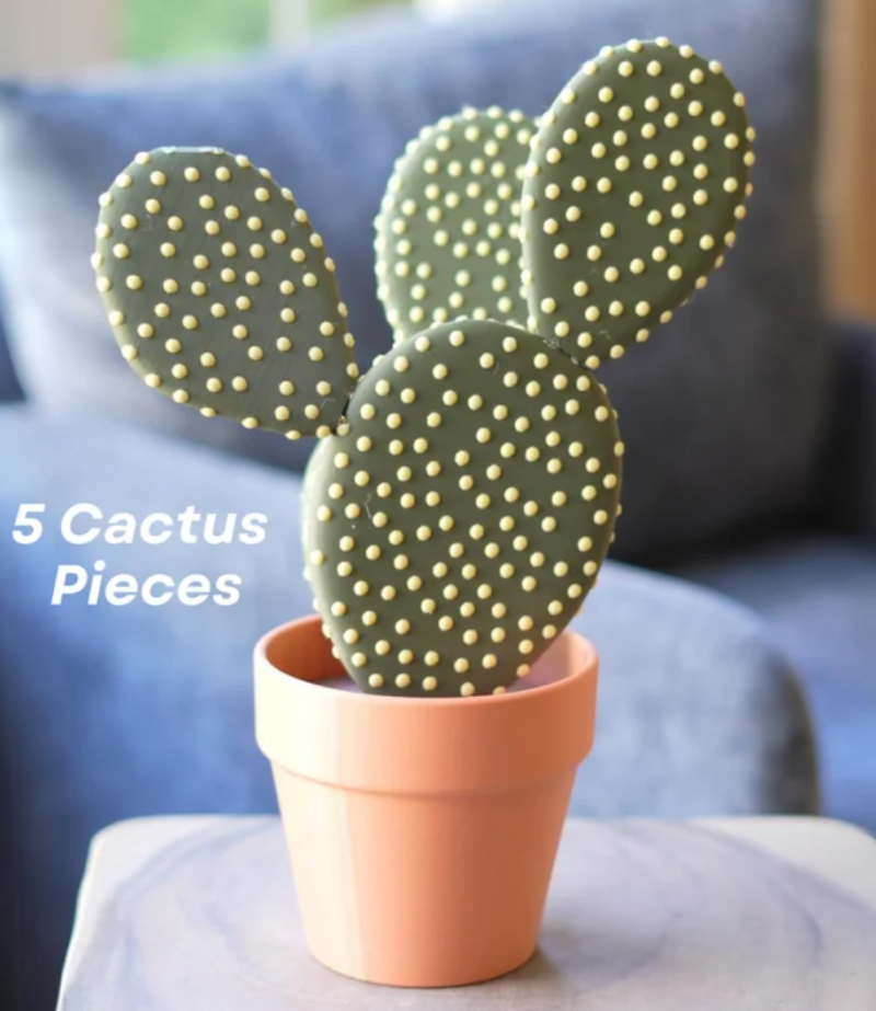 Cactus Coasters — foto 2