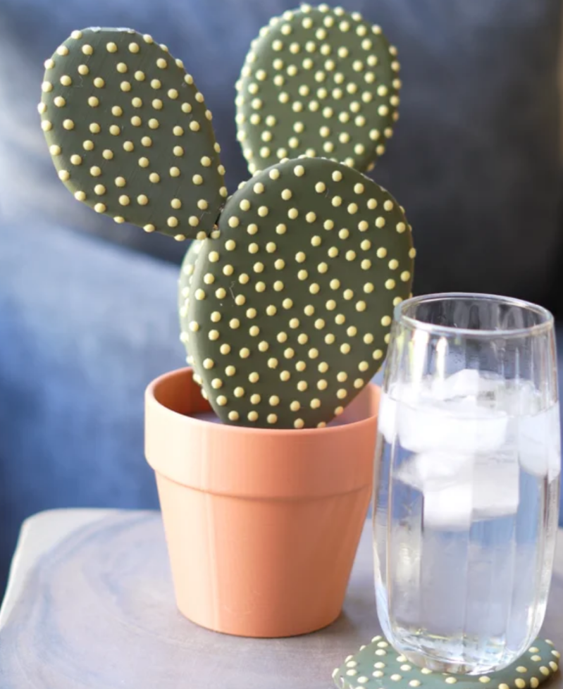 Cactus Coasters — foto 3
