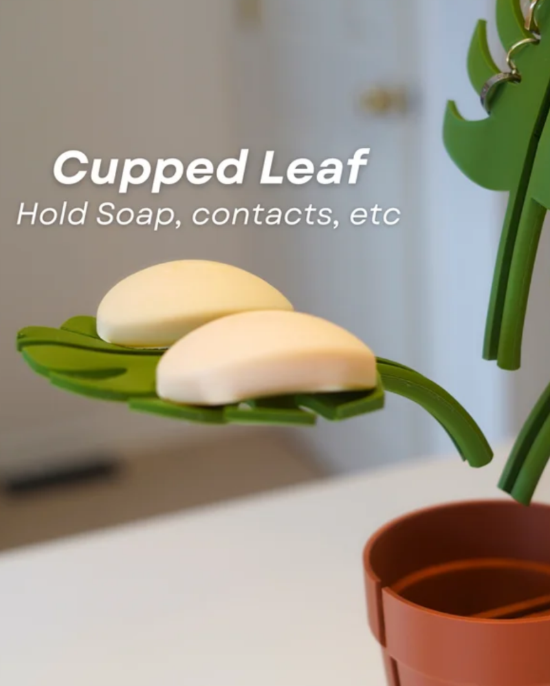 Mirror Monstera — foto 4