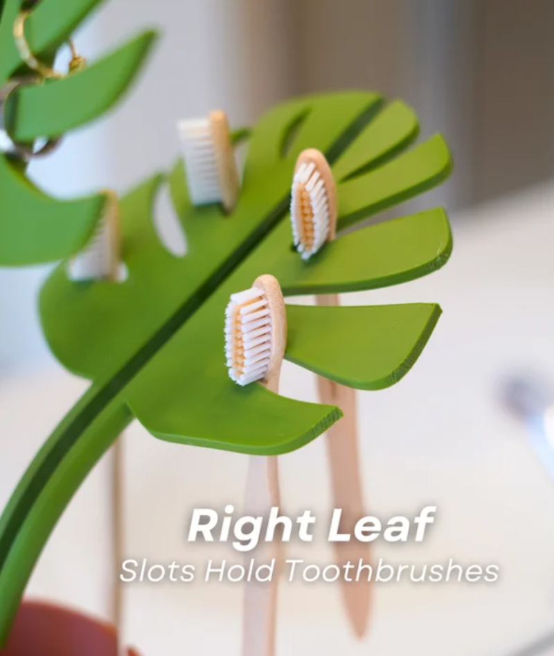 Mirror Monstera — foto 5