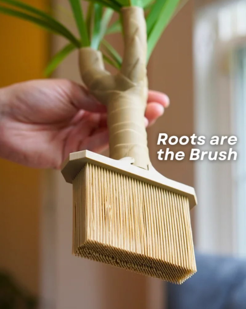 Dust Free Dragon Tree — foto 3