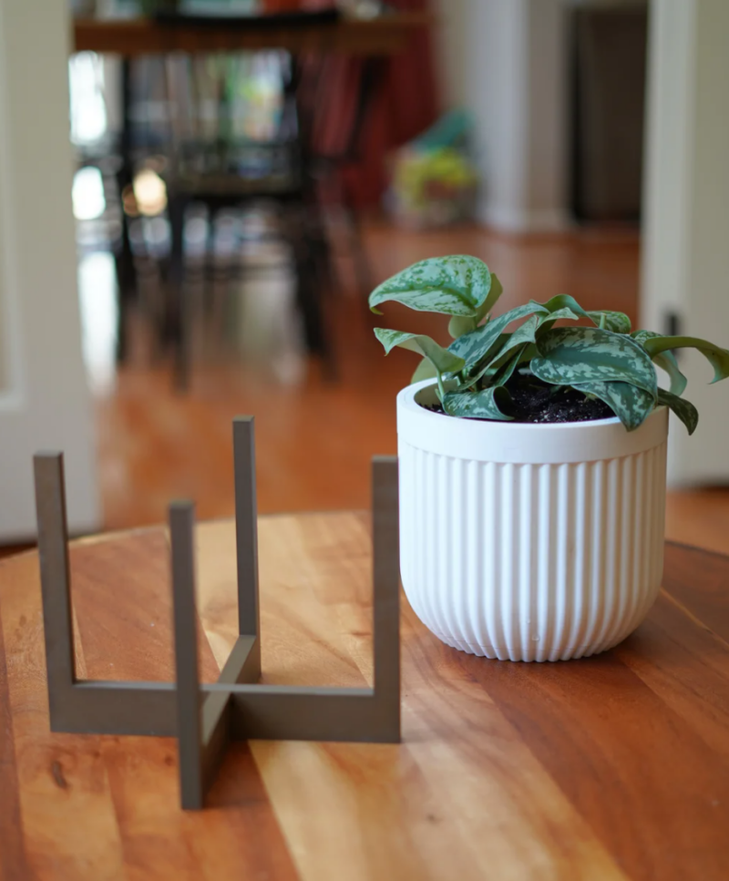 Alder Pot — foto 4