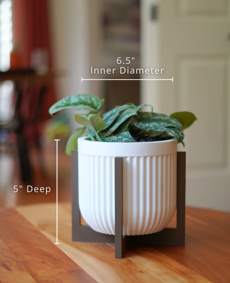 Alder Pot — foto 2