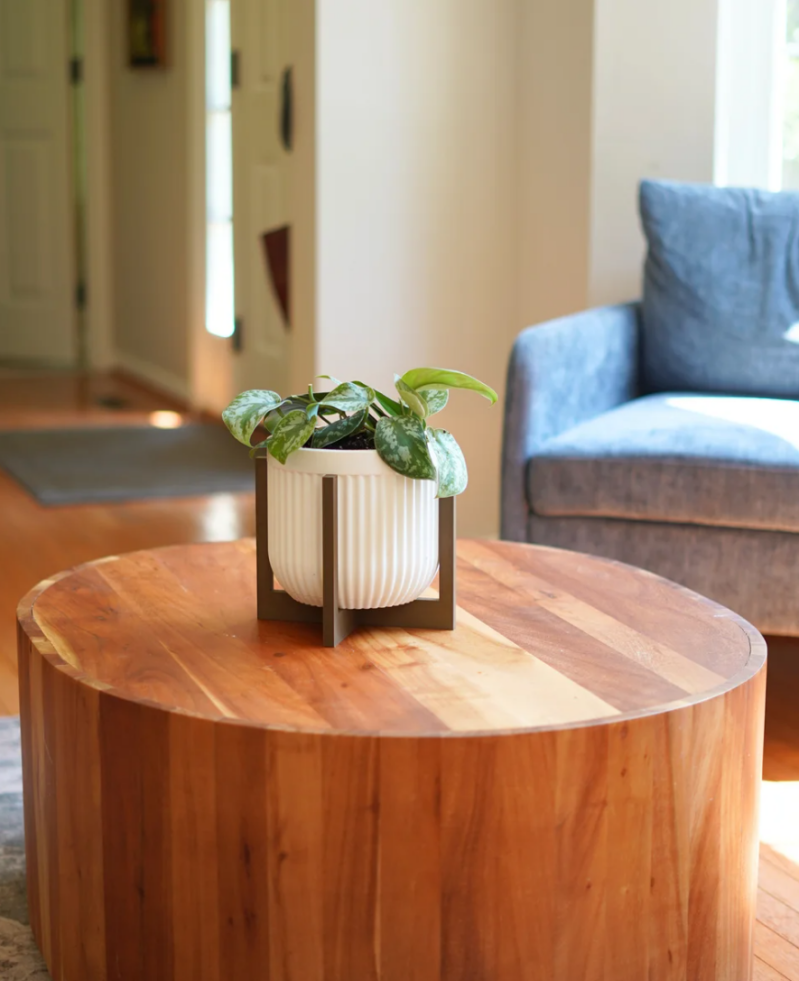 Alder Pot — foto 3