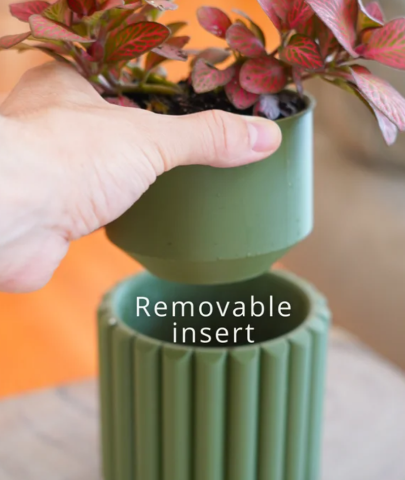Verdin Pot — foto 2