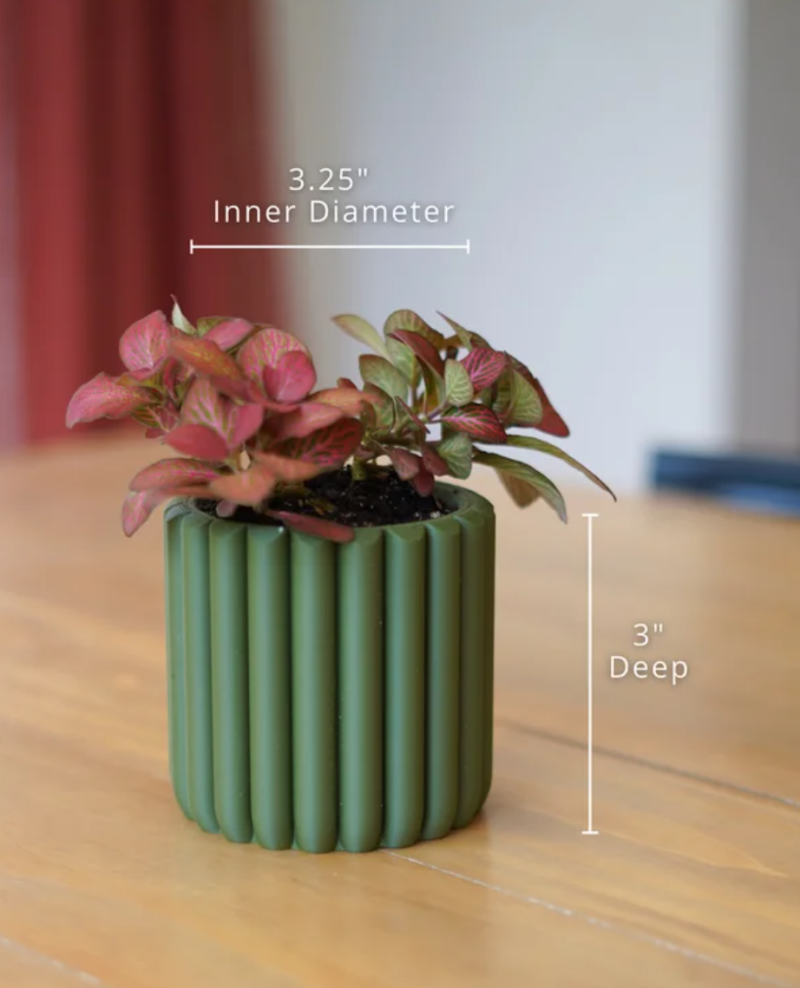 Verdin Pot — foto 4