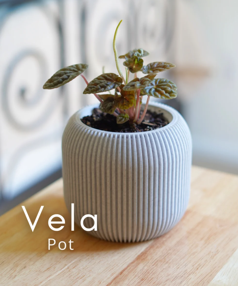 Vela Pot